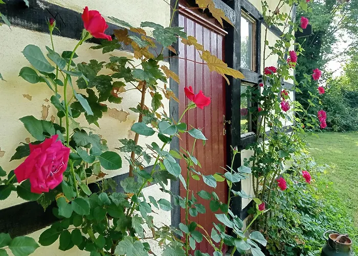 Bnb Het Geluk Van Limburg
