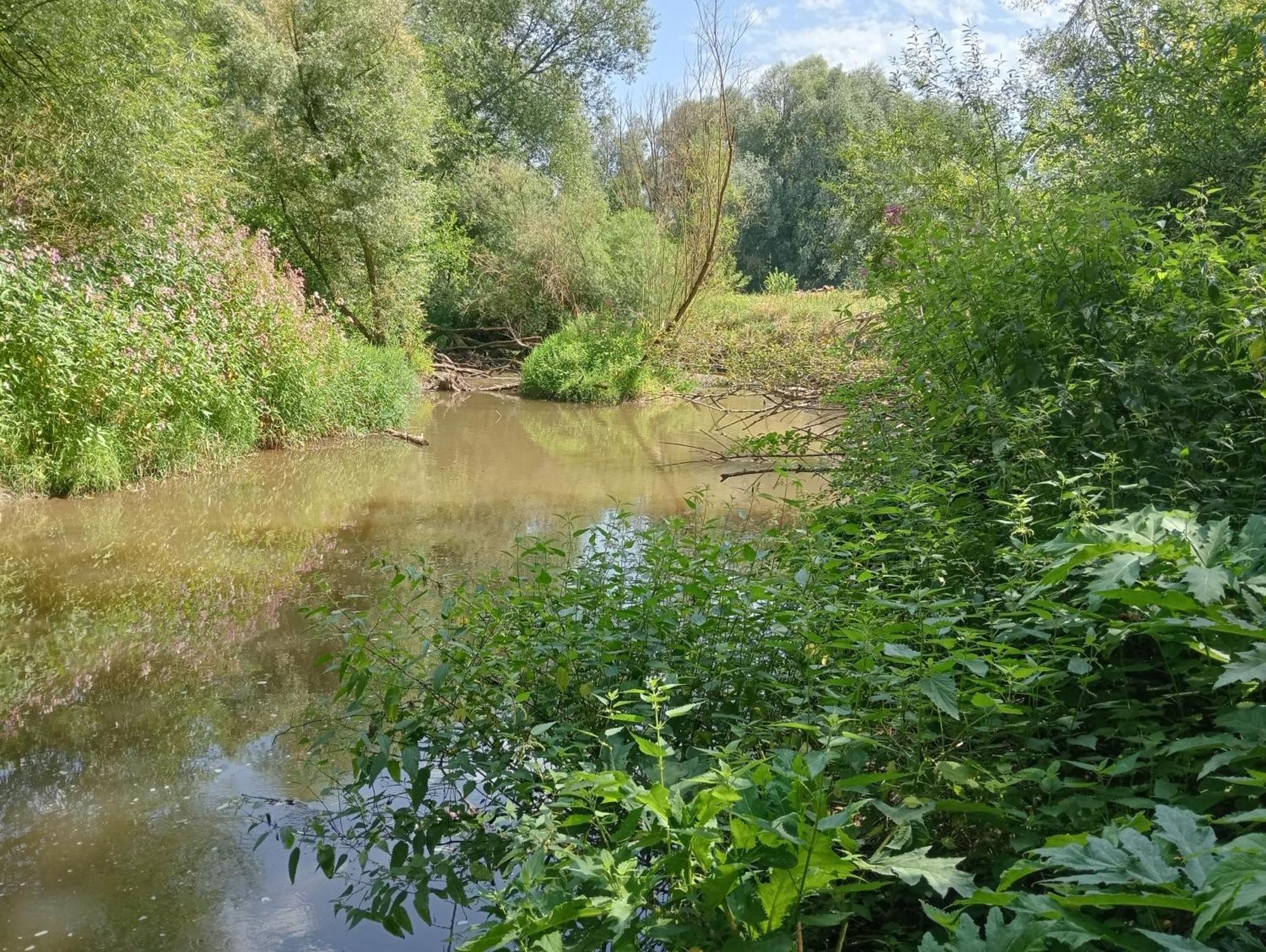Het Geluk Limburg Acomodação com café da manhã  *