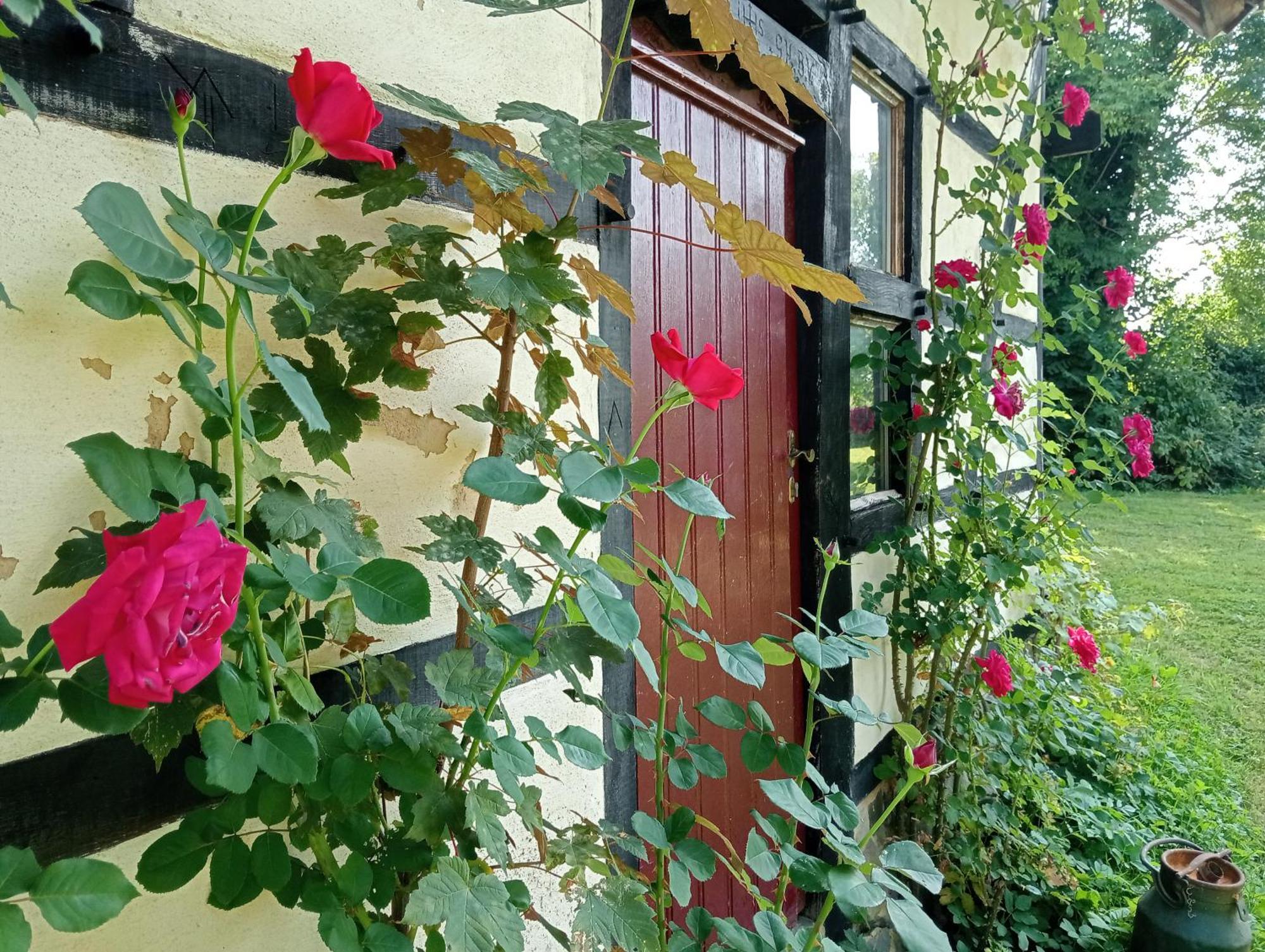 Het Geluk Limburg Acomodação com café da manhã  Mechelen